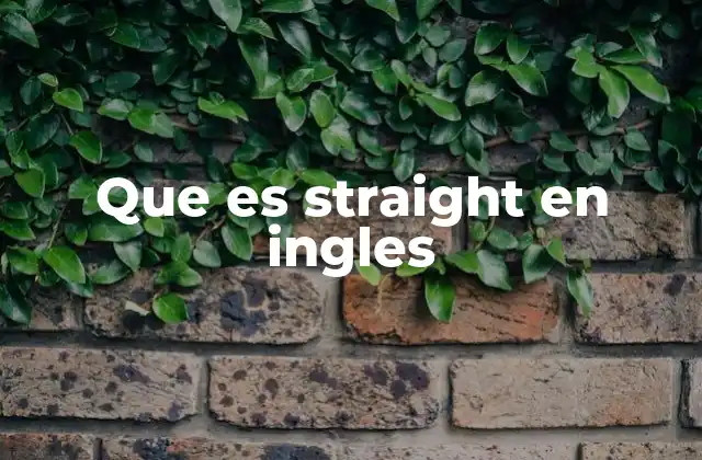 Que es Straight en Ingles