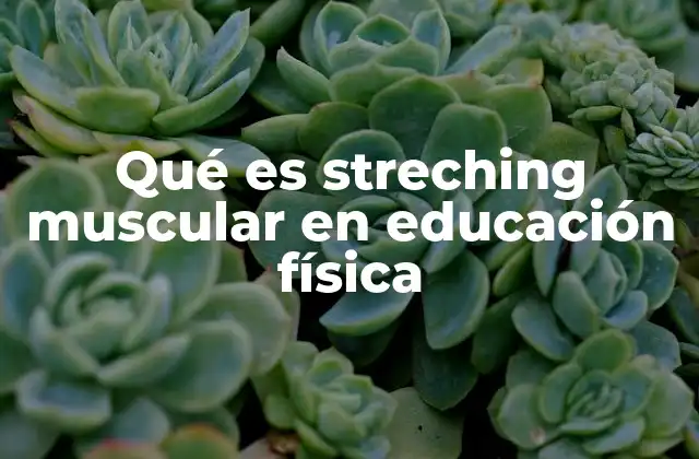 Qué es Streching Muscular en Educación Física