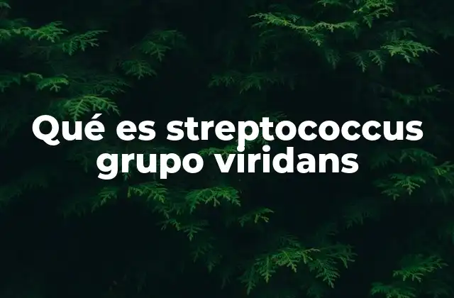 Qué es Streptococcus Grupo Viridans