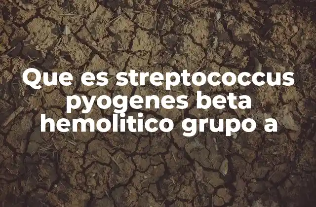 Cómo se clasifica el Streptococcus beta-hemolítico según su grupo antigénico