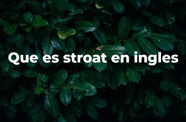Que es Stroat en Ingles 2 El uso de palabras no estándar como stroat en internet
