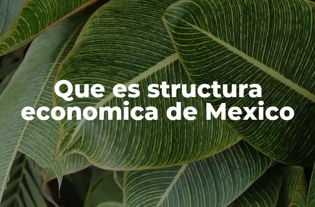 Que es Structura Economica de Mexico