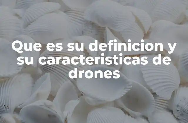 Que es Su Definicion y Su Caracteristicas de Drones