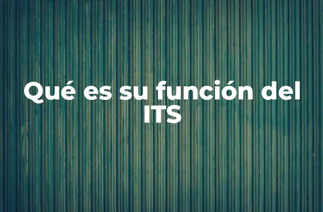 Qué es Su Función Del Its
