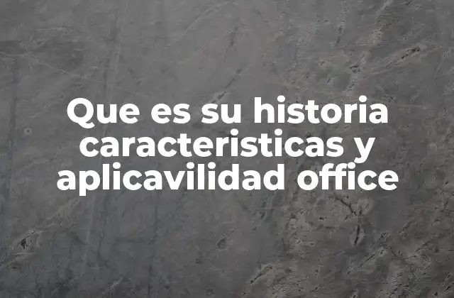 Que es Su Historia Caracteristicas y Aplicavilidad Office