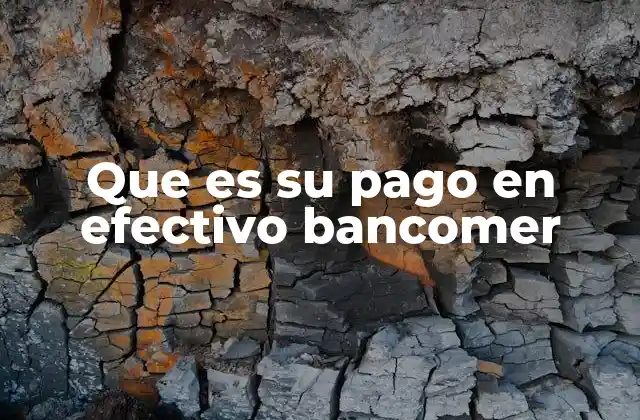 Que es Su Pago en Efectivo Bancomer