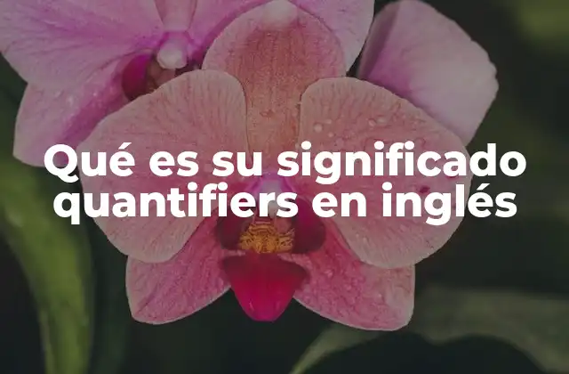 Qué es Su Significado Quantifiers en Inglés