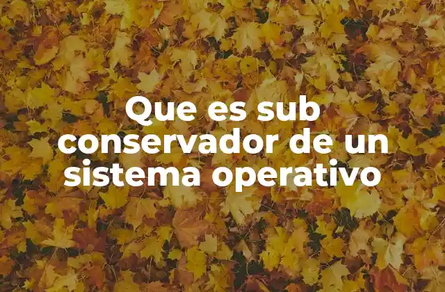 Que es Sub Conservador de un Sistema Operativo