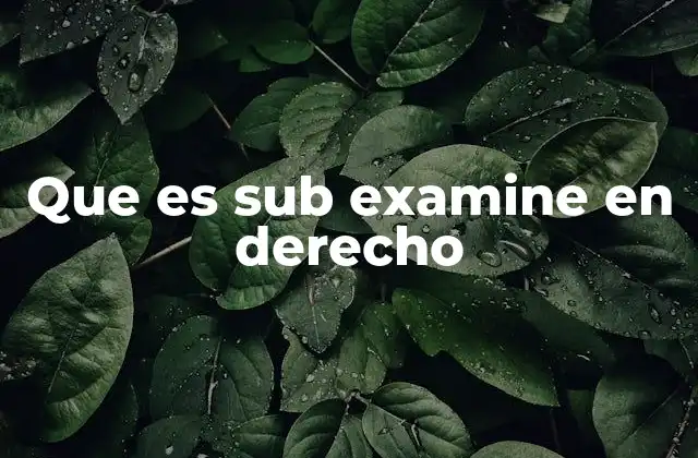 Que es Sub Examine en Derecho