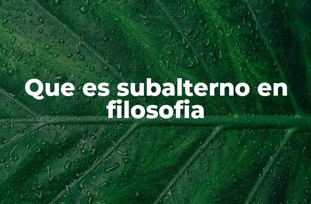 Que es Subalterno en Filosofia