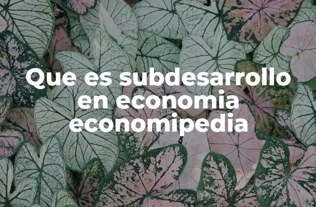 Las causas estructurales del subdesarrollo económico