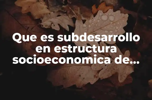 Que es Subdesarrollo en Estructura Socioeconomica de Mexico