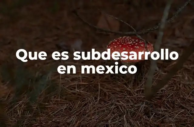 Que es Subdesarrollo en Mexico