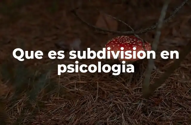 Que es Subdivision en Psicologia 2 El papel de las subdivisiones en el desarrollo de la psicología