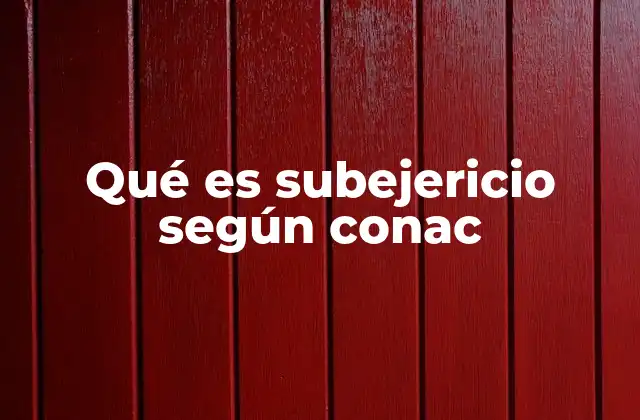 Qué es Subejericio según Conac