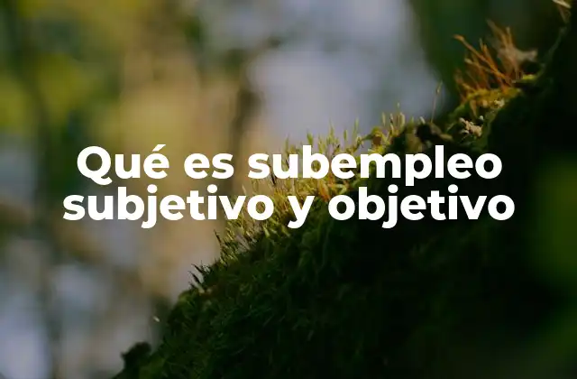 Qué es Subempleo Subjetivo y Objetivo