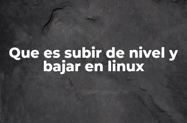 Que es Subir de Nivel y Bajar en Linux