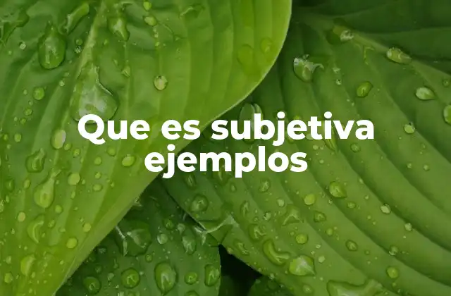 Que es Subjetiva Ejemplos