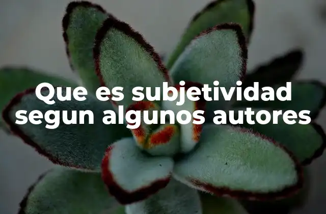 Que es Subjetividad Segun Algunos Autores