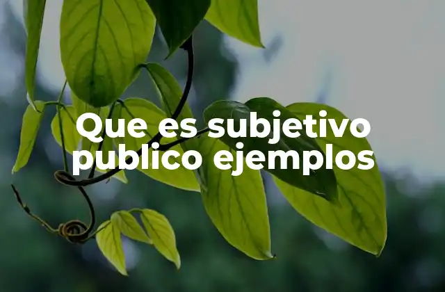 Que es Subjetivo Publico Ejemplos