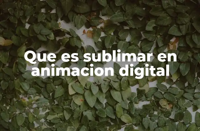 La importancia de la sublimación en la animación digital