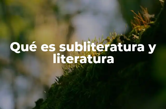 Qué es Subliteratura y Literatura