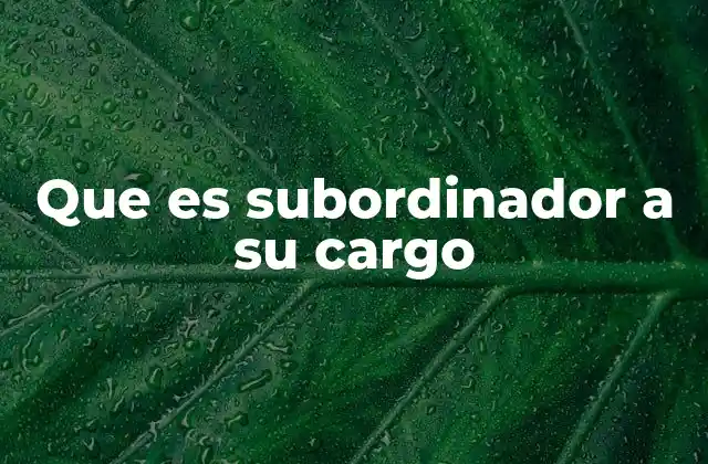 Que es Subordinador a Su Cargo