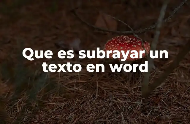 Que es Subrayar un Texto en Word 2 Cómo mejorar la legibilidad de un documento con el subrayado