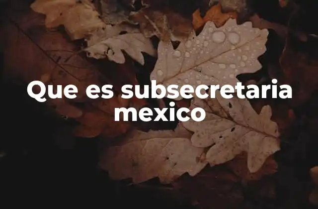 Que es Subsecretaria Mexico