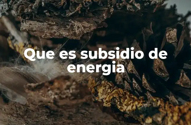 Que es Subsidio de Energia