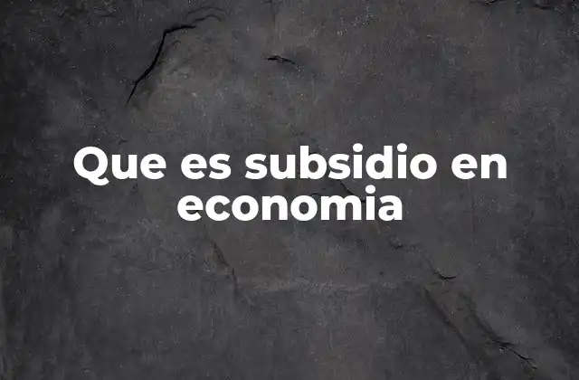 Que es Subsidio en Economia