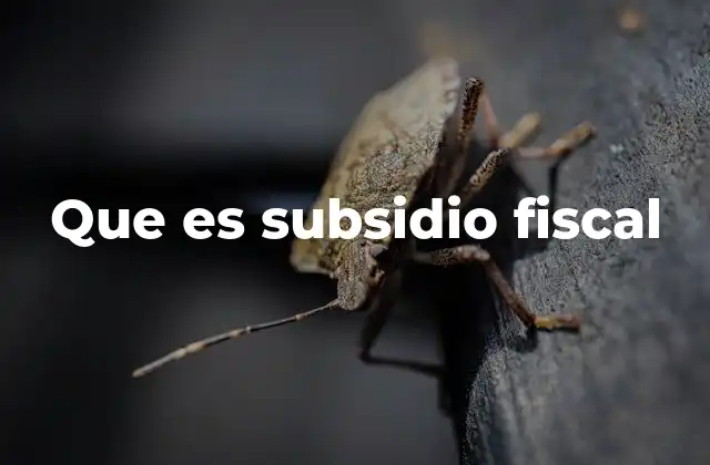 Que es Subsidio Fiscal