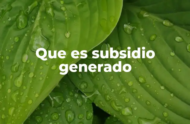 Cómo se originan los subsidios generados