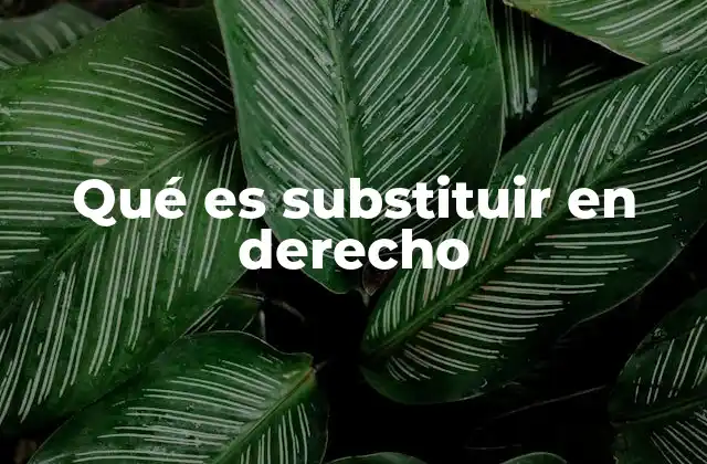 Qué es Substituir en Derecho 2 El papel de la substitución en las relaciones jurídicas