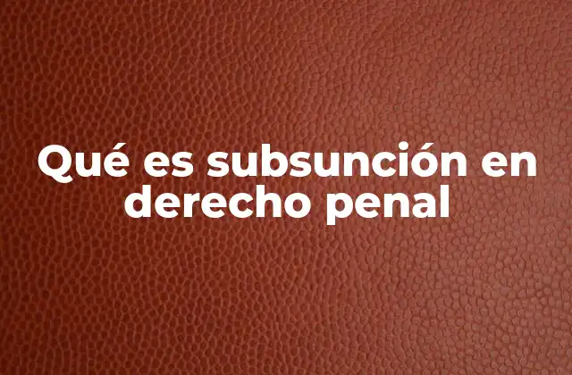 Qué es Subsunción en Derecho Penal