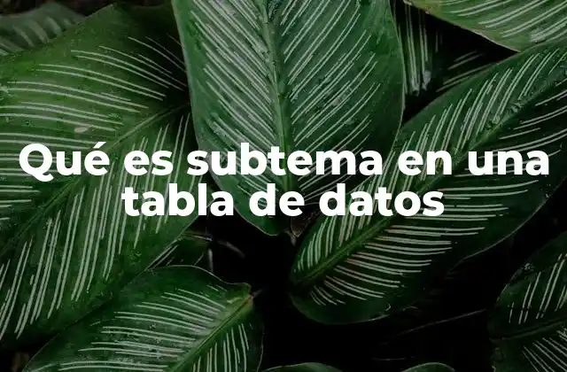 Qué es Subtema en una Tabla de Datos