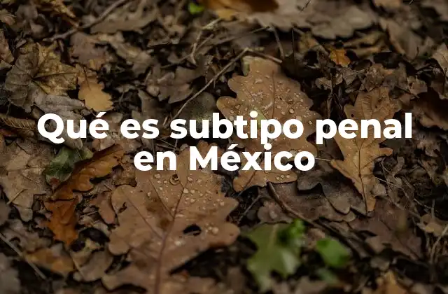 Qué es Subtipo Penal en México