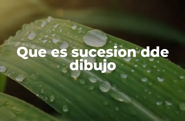 Que es Sucesion Dde Dibujo
