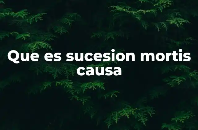 Que es Sucesion Mortis Causa 2 El papel de la ley en la transmisión de bienes tras la muerte