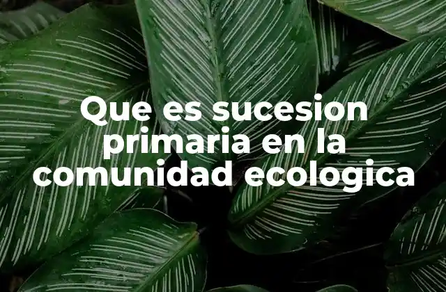 Que es Sucesion Primaria en la Comunidad Ecologica