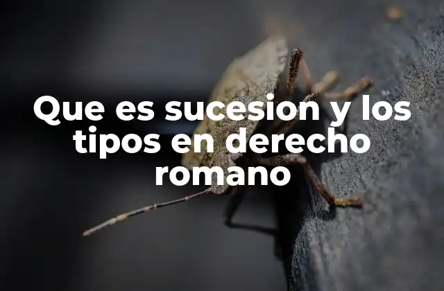 Que es Sucesion y los Tipos en Derecho Romano