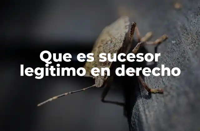 Que es Sucesor Legitimo en Derecho