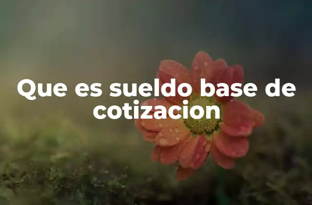 Que es Sueldo Base de Cotizacion