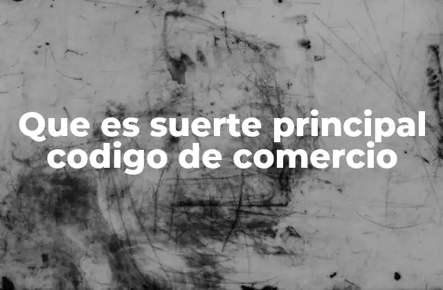 Que es Suerte Principal Codigo de Comercio