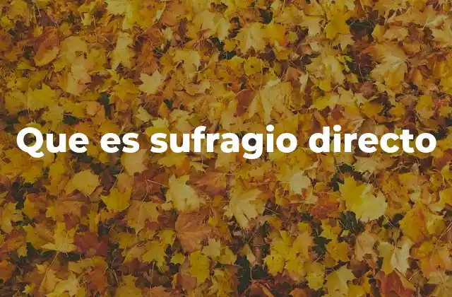 Que es Sufragio Directo