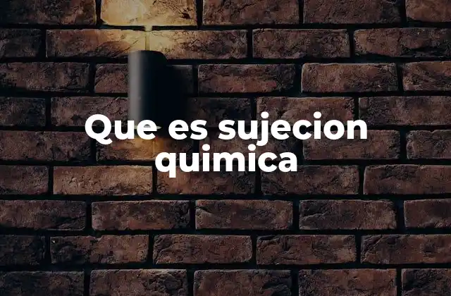 Que es Sujecion Quimica