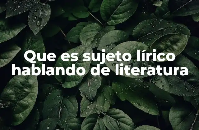 Que es Sujeto Lírico Hablando de Literatura 2 El sujeto lírico como espejo emocional de la obra