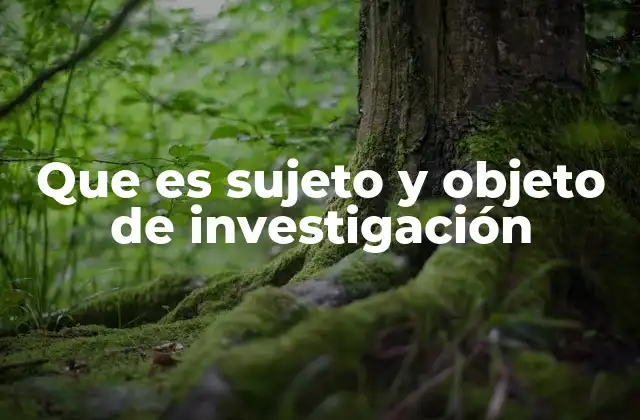 Que es Sujeto y Objeto de Investigación