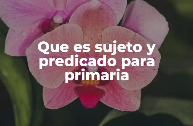 Que es Sujeto y Predicado para Primaria 2 La importancia de identificar el sujeto y el predicado