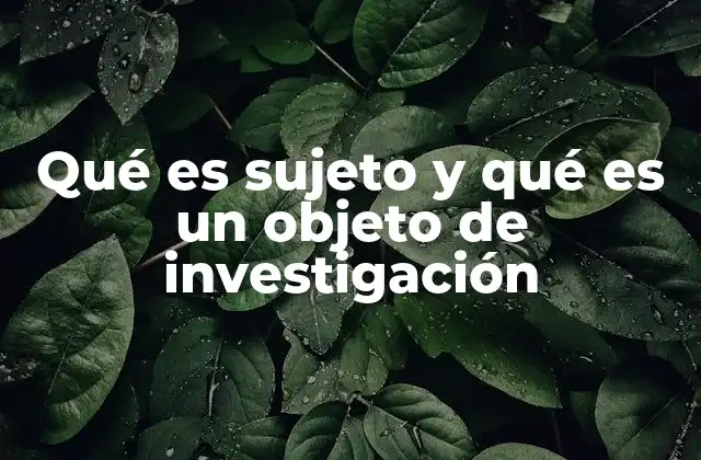 Qué es Sujeto y Qué es un Objeto de Investigación